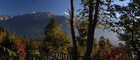 A wooden staircase leading up a hill, surrounded by trees and a mountain range in the background.