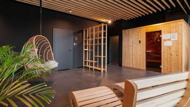 Un interior moderno con un banco de madera, una silla colgante y un panel divisor de madera.