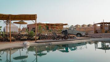 Outdoor pool, sun loungers