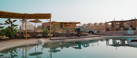 Outdoor pool, sun loungers