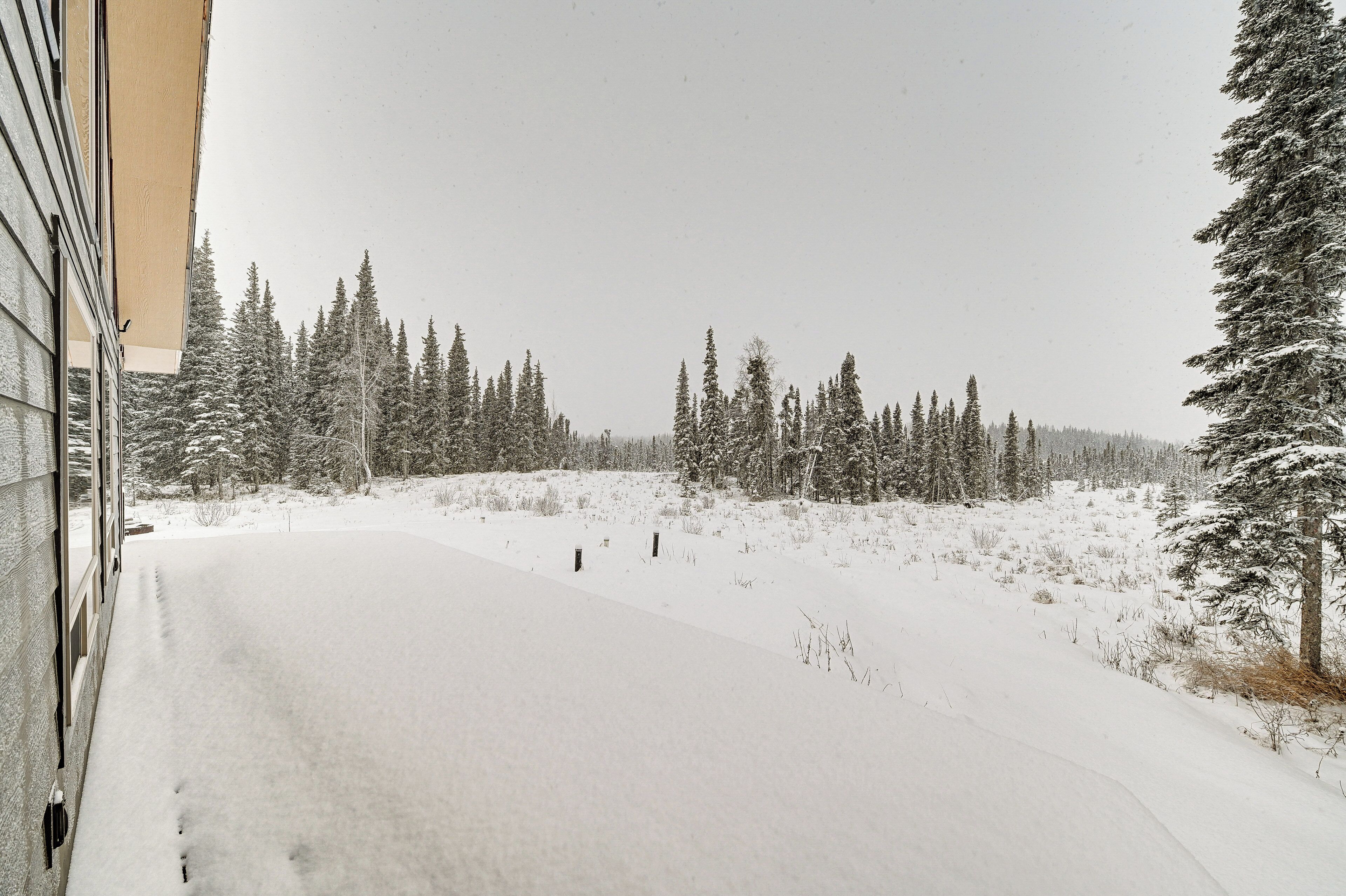 Ett snötäckt landskap med en väg som leder genom en skog av barrträd.