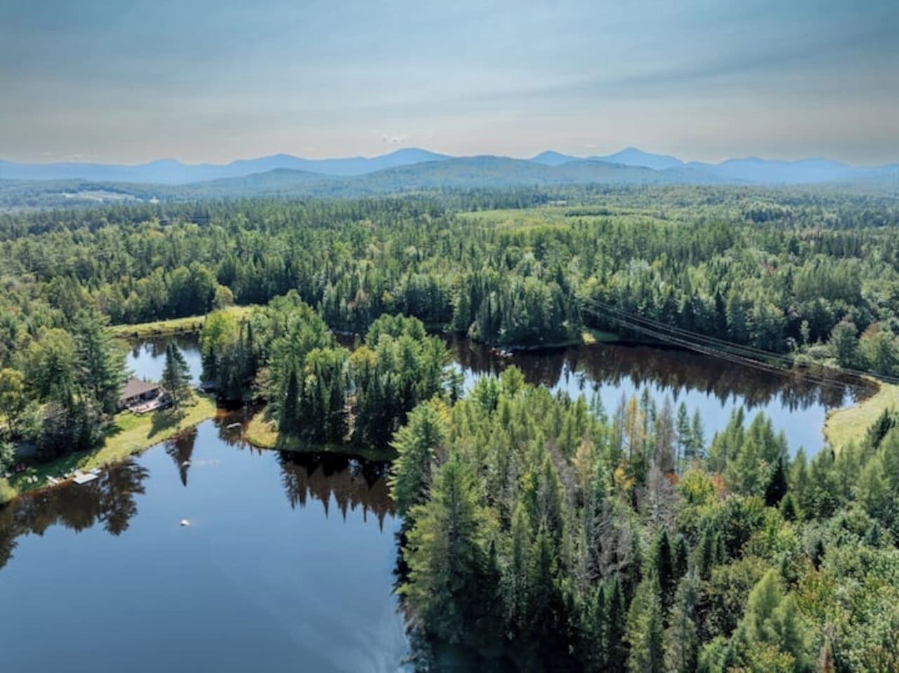 A forested area with a lake and a bridge.