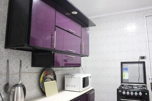 Fridge, microwave, stovetop, electric kettle