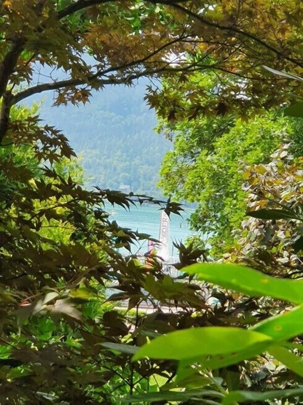 Ulkopuoli