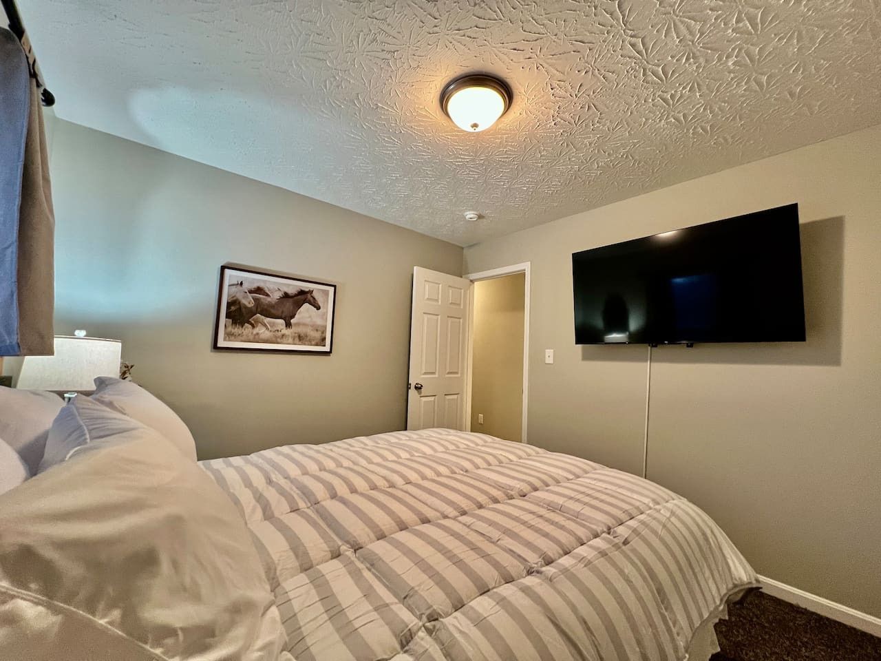 A bedroom with a bed, a television mounted on the wall, a door, and a ceiling light fixture.