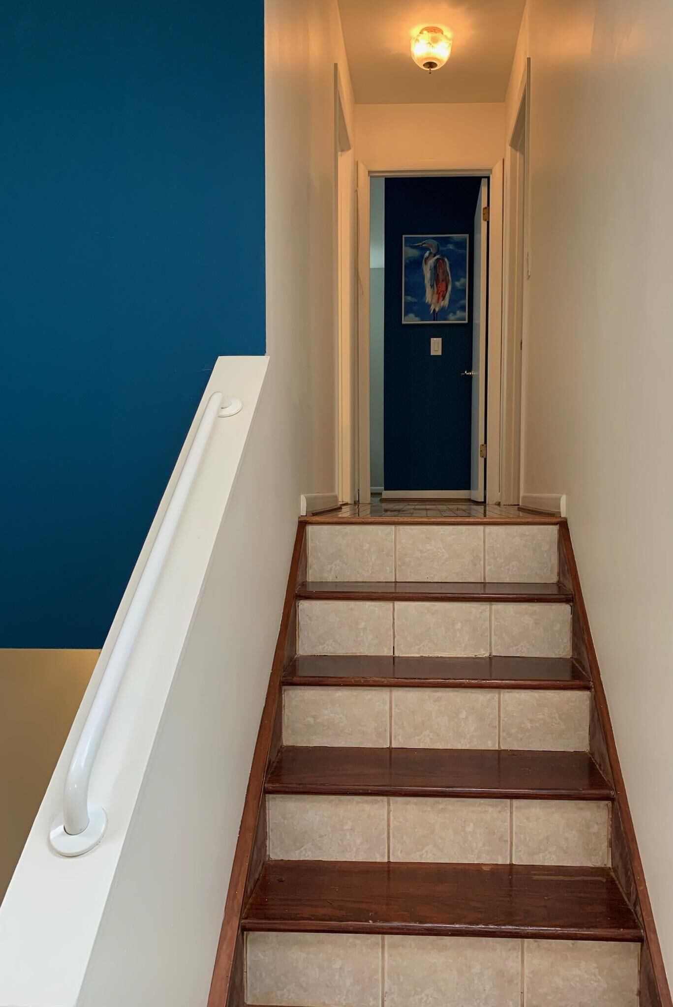 A staircase with a white handrail leading to a door with a blue wall and a painting of a bird.