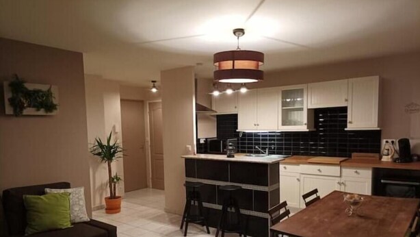 A modern apartment with a dining area, kitchen, and living room. - Ecully, Appartement au Calme de 50m² (Lyon)