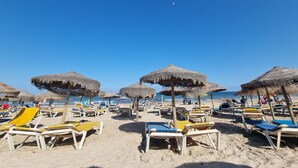 Una spiaggia con file di lettini e ombrelloni di paglia.
