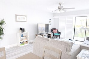 Télévision, cheminée, lecteur de DVD, livres