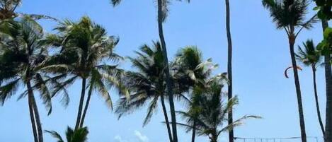 室外游泳池