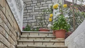 Detalle exterior