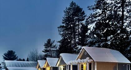 Ruth Lake Resort Cabin #2