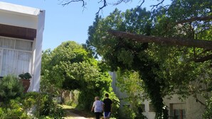 Un sendero bordeado por abundante vegetación y un edificio con fachada blanca.