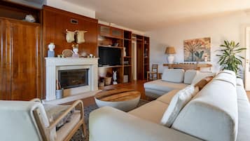 TV, fireplace