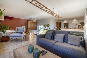 TV, fireplace