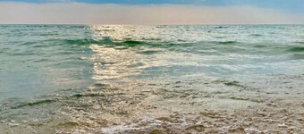 Cozy 3-bedroom cottage, large yard, minutes from Lake Michigan. Pet friendly.