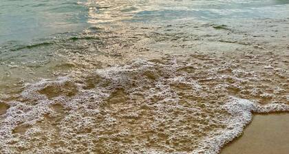 Cozy 3-bedroom cottage, large yard, minutes from Lake Michigan. Pet friendly.