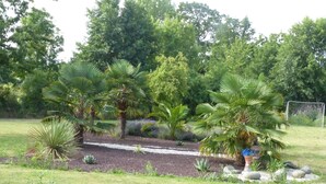 A landscaped garden with palm trees, a gravel path, and a white fence.