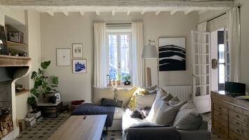 TV connectée, cheminée, livres, écrans d'ordinateur