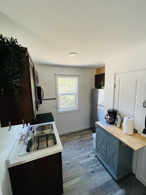 Frigorífico, microondas, horno y placa de cocina