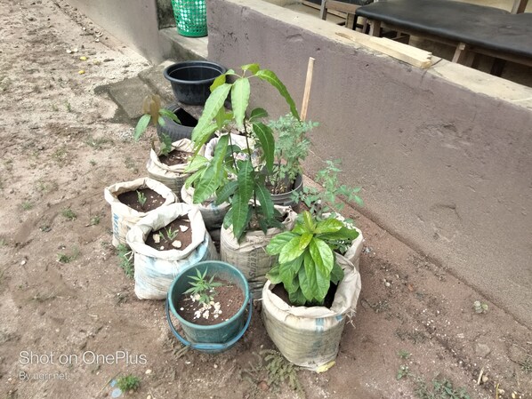 Terrein van de accommodatie