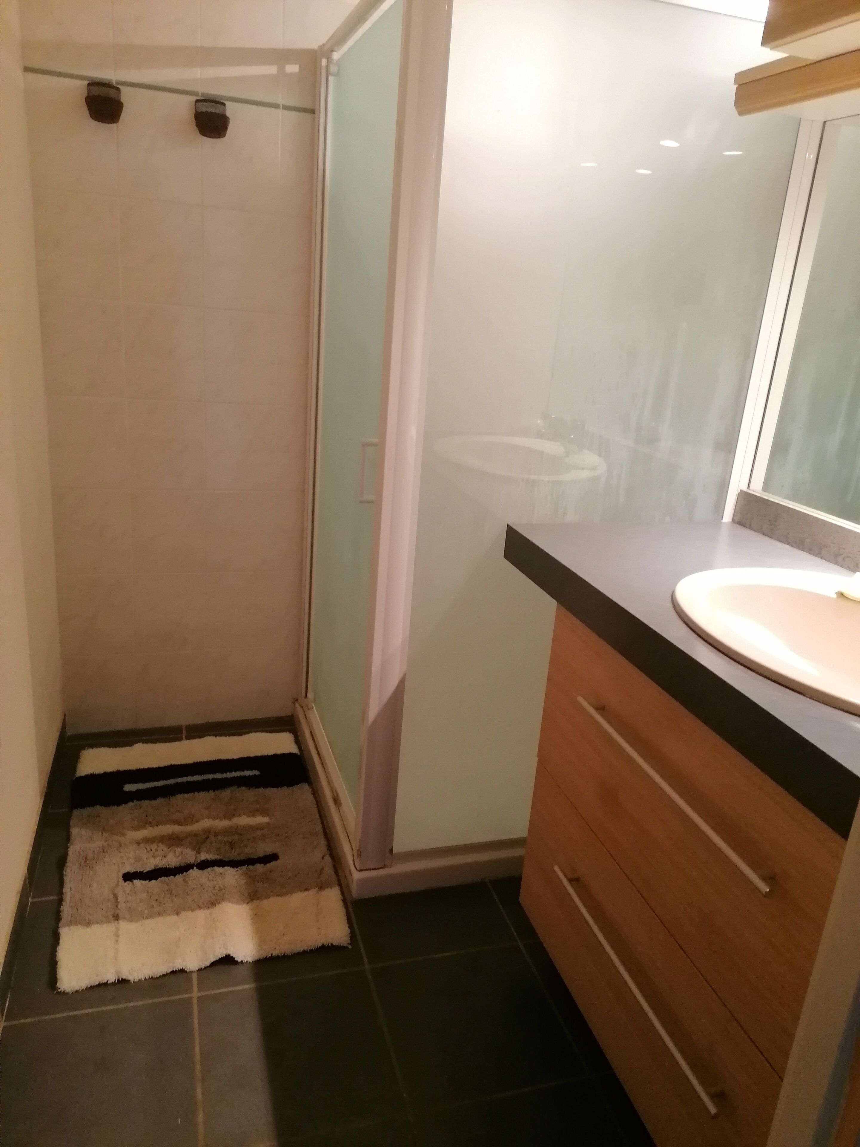 Shower, hair dryer, soap, shampoo