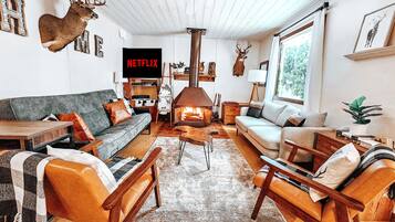 TV connectée, cheminée, jeux vidéo, lecteur de DVD