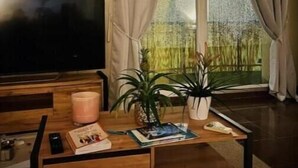 Olohuoneessa on puinen sohvapöytä, litteänäyttöinen televisio ja kaksi ruukkukasvia.