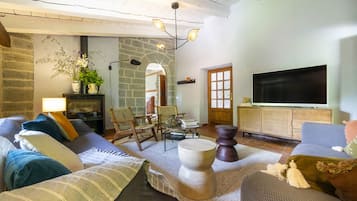 TV connectée, cheminée, livres, chaßne hi-fi