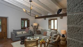 TV connectée, cheminée, lecteur de DVD, livres