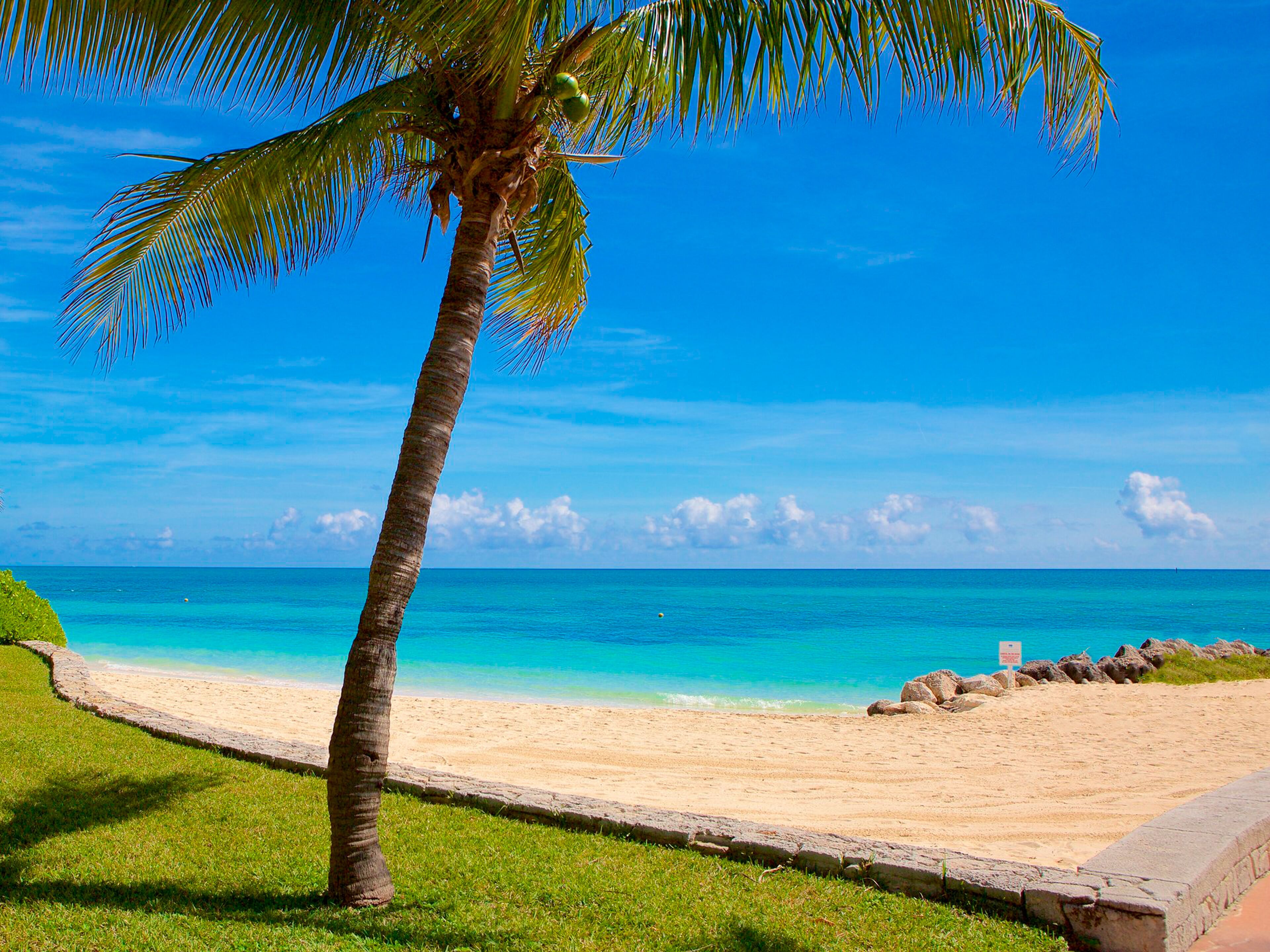 Sun-loungers, beach towels