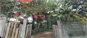 Hus, 2 soverom, terrasse, hageutsikt | Inngang