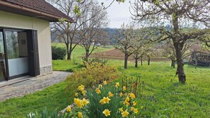 Une maison avec un chemin de pierre menant à une porte en verre, entourée d’un jardin luxuriant où poussent des jonquilles et des arbres.