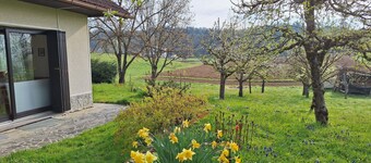 Apple Tree Cottage located in a private garden with an orchard comfortable for 8