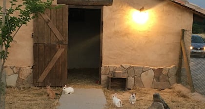 Casa Rural El Salidero en Fuentidueña