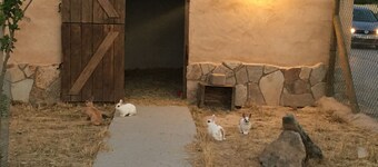 Casa Rural El Salidero en Fuentidueña