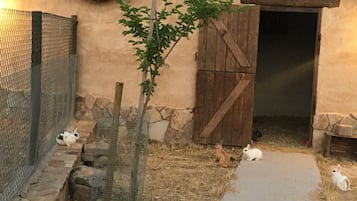Jardines del alojamiento