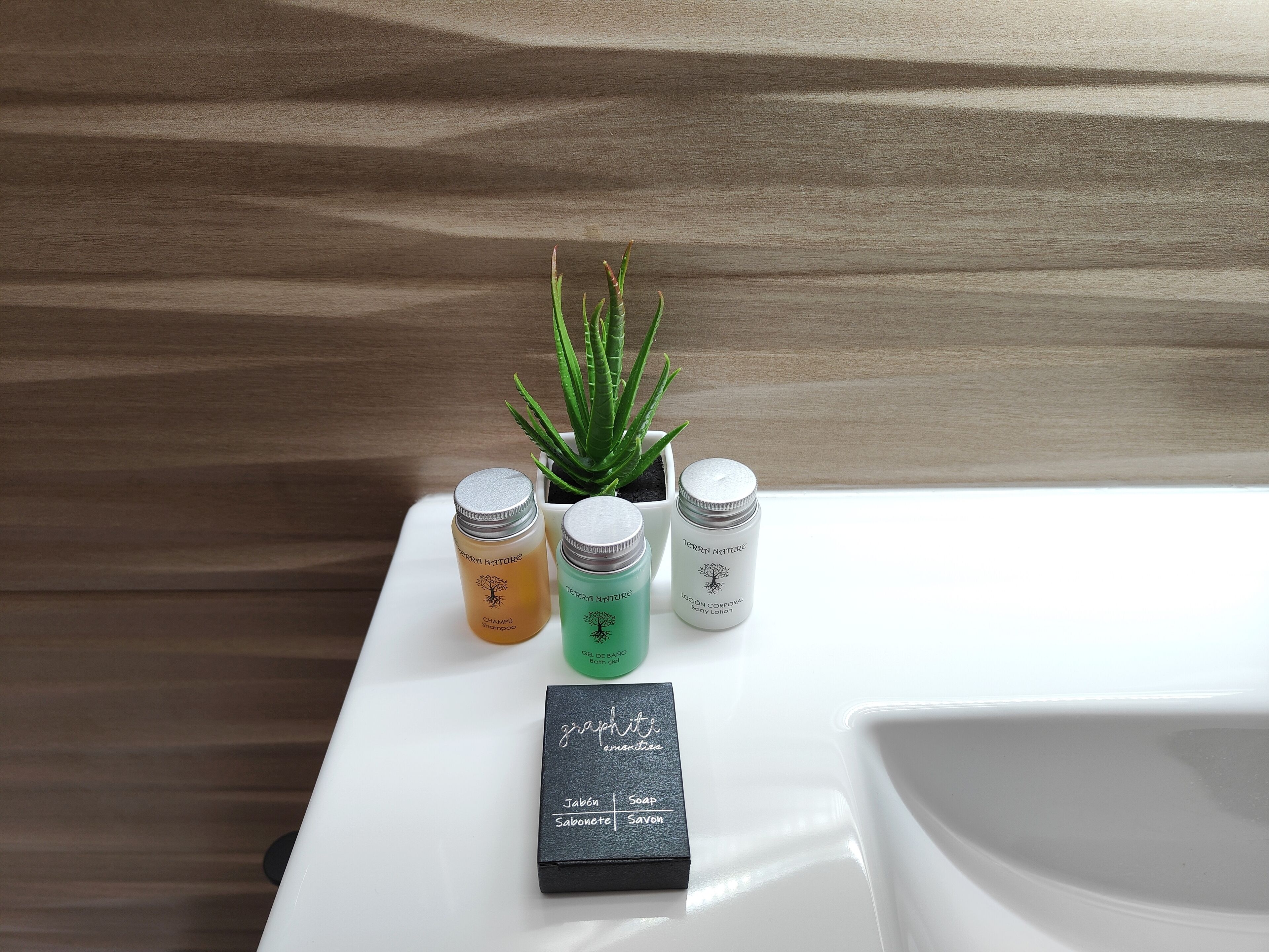 Un baño con un lavamanos blanco, dos botellas de champú y loción Terra Nature, una pequeña planta de aloe vera y un jabonera negra.