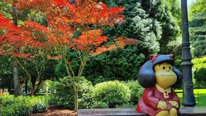 A statue of a character sitting on a bench in a park with red foliage in the background. - Loft Moderno, Céntrico y Acogedor (Oviedo)