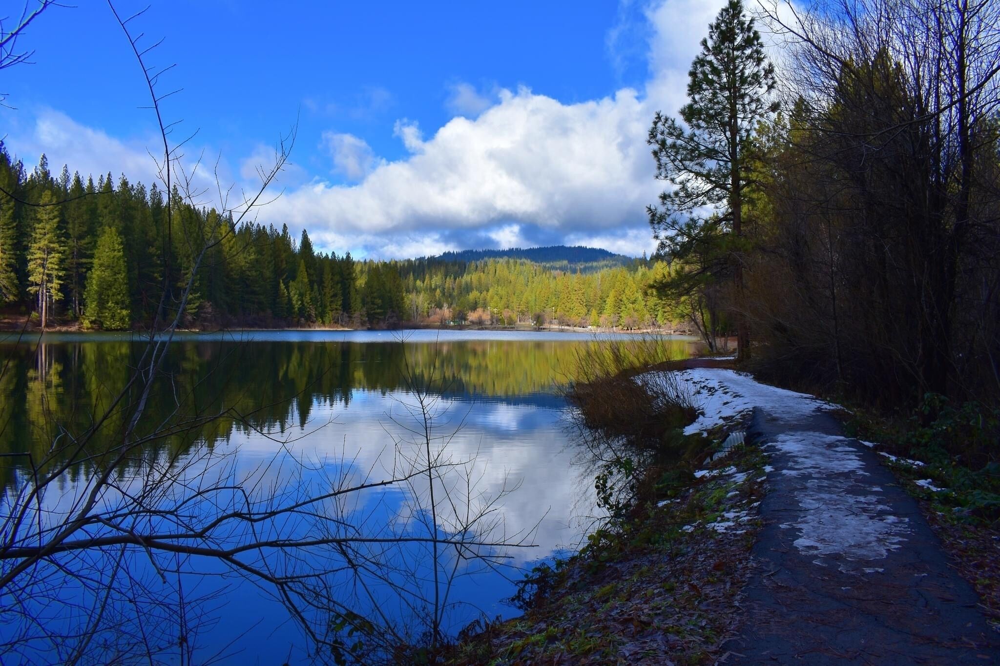 Un lago tranquilo rodeado de un bosque frondoso y un cielo despejado.