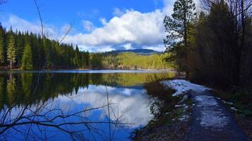 Un lago tranquilo rodeado de un bosque frondoso y un cielo despejado.