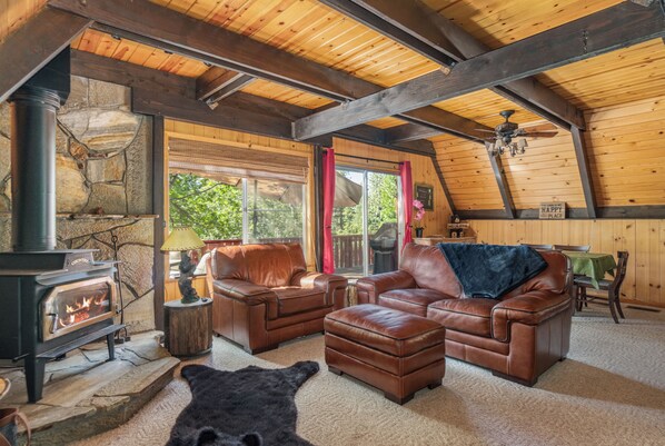 智能电视、壁炉、DVD 播放器、书