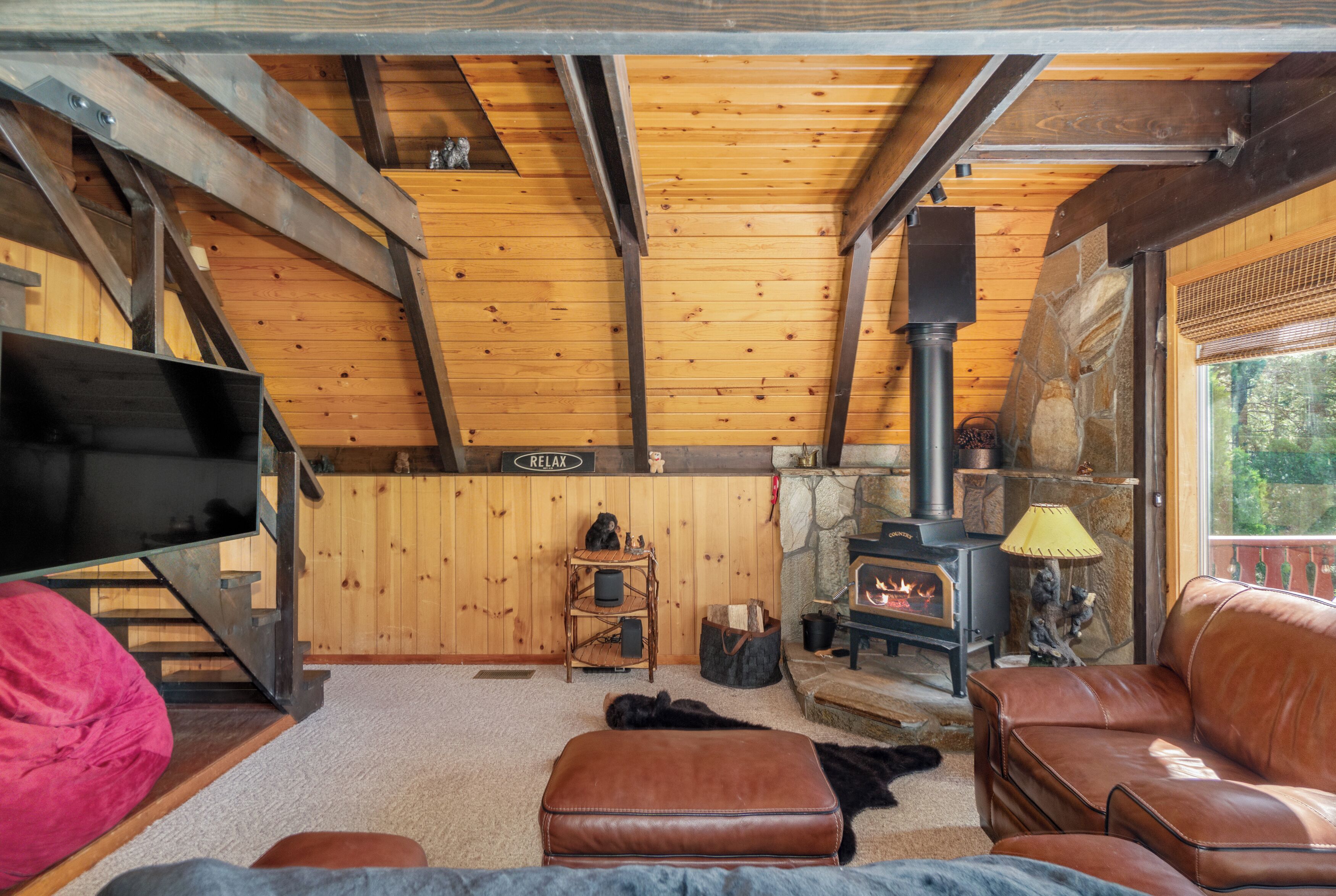 Smart TV, fireplace, DVD player, books