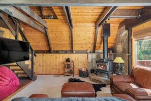 Smart TV, fireplace, DVD player, books