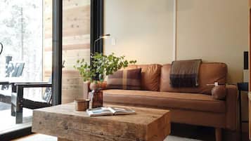 Smart TV, fireplace, stereo