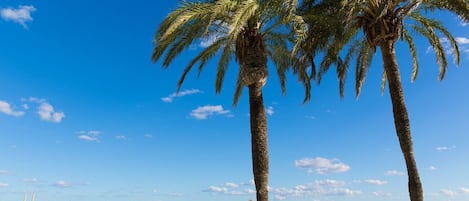 Nära stranden