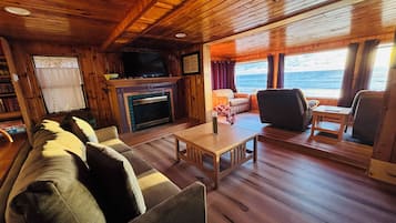 Smart TV, fireplace, books