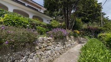 Área da propriedade