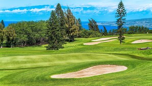 Unclassified image, 2 of 24, button - Waikoloa Fairways #a310: Top Floor,breathtaking Lake, Golf Course&ocean Views (Waikoloa)