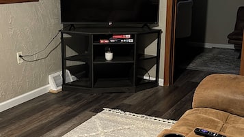 Televisie